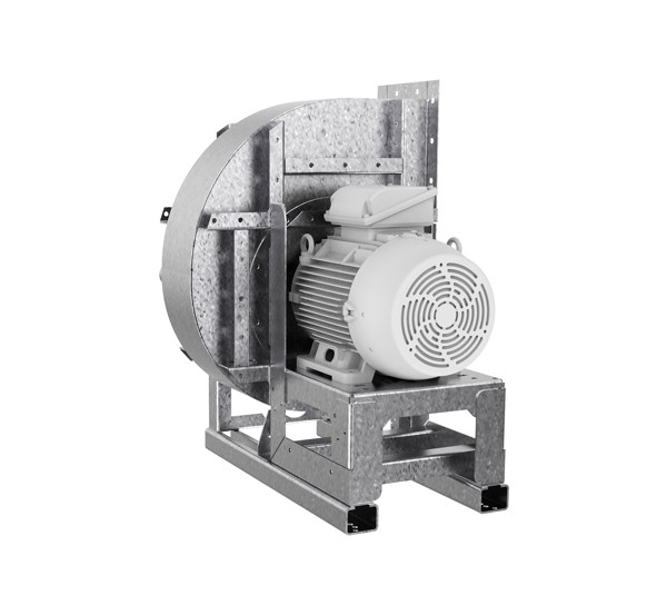 WEB 1920px JPG Q70 CAL_7.jpg