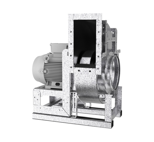 WEB 1920px JPG Q70 CAL_3.jpg