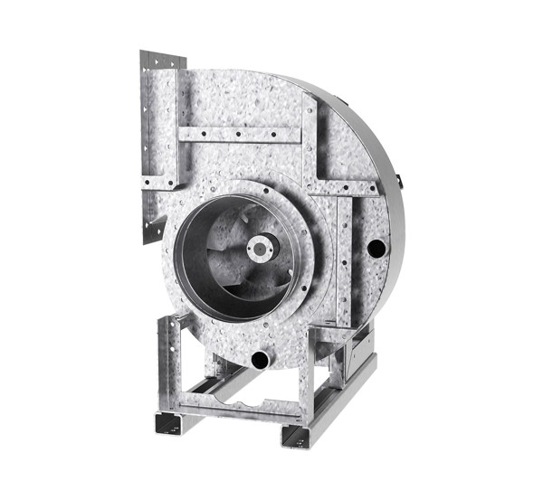 WEB 1920px JPG Q70 CAL_4.jpg