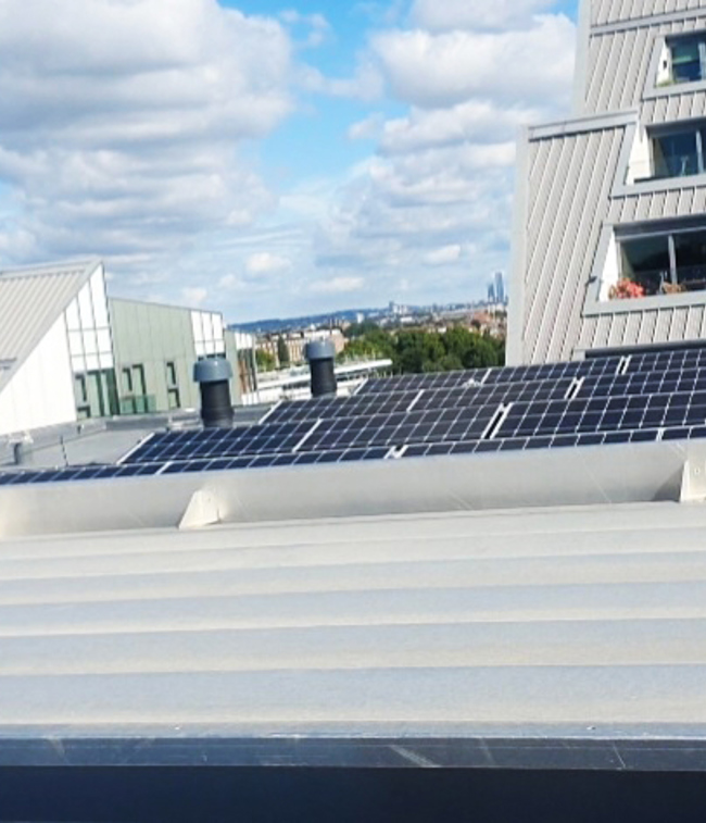 Osiers Road_website 2.jpg