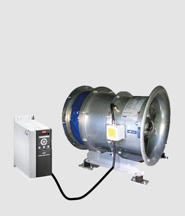 Stocked fans 1_news.png