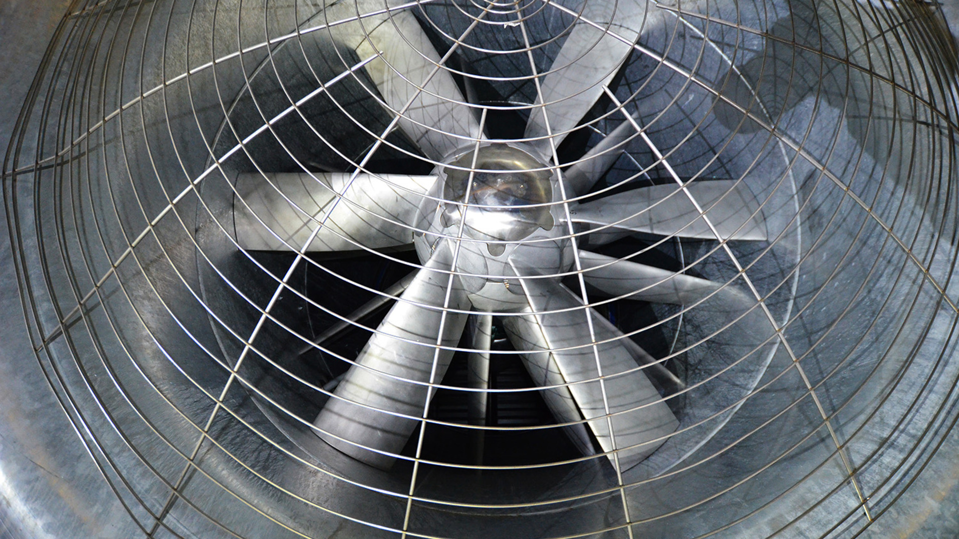 Frankfurt Airport_website 5.jpg