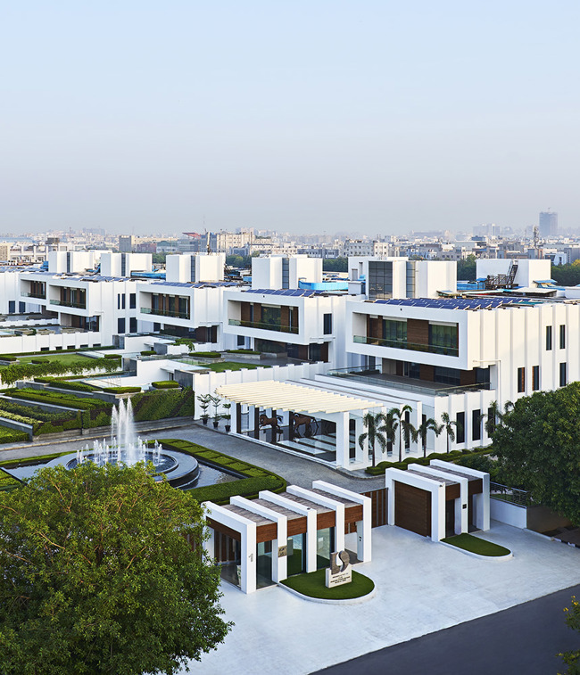 DS Group_website.jpg