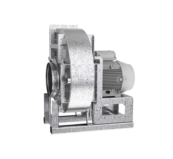 WEB 1920px JPG Q70 CAL_6.jpg