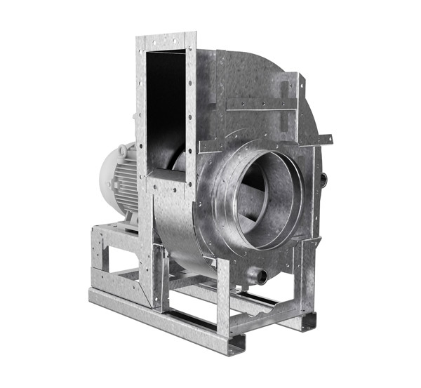 WEB 1920px JPG Q70 CAL_2.jpg