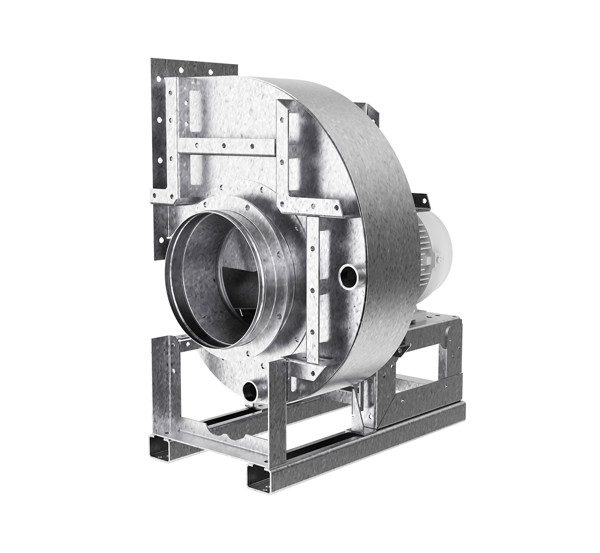 WEB 1920px JPG Q70 CAL_5.jpg