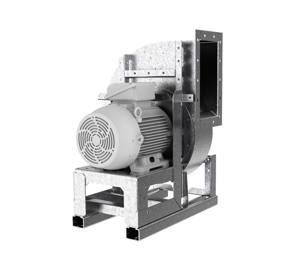 WEB 1920px JPG Q70 CAL_8.jpg