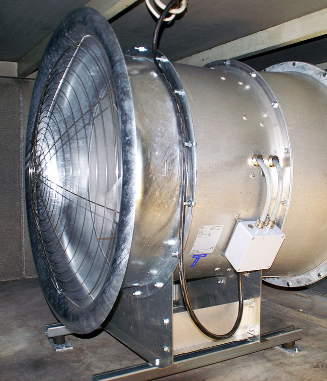 Carlsberg_website 2.jpg