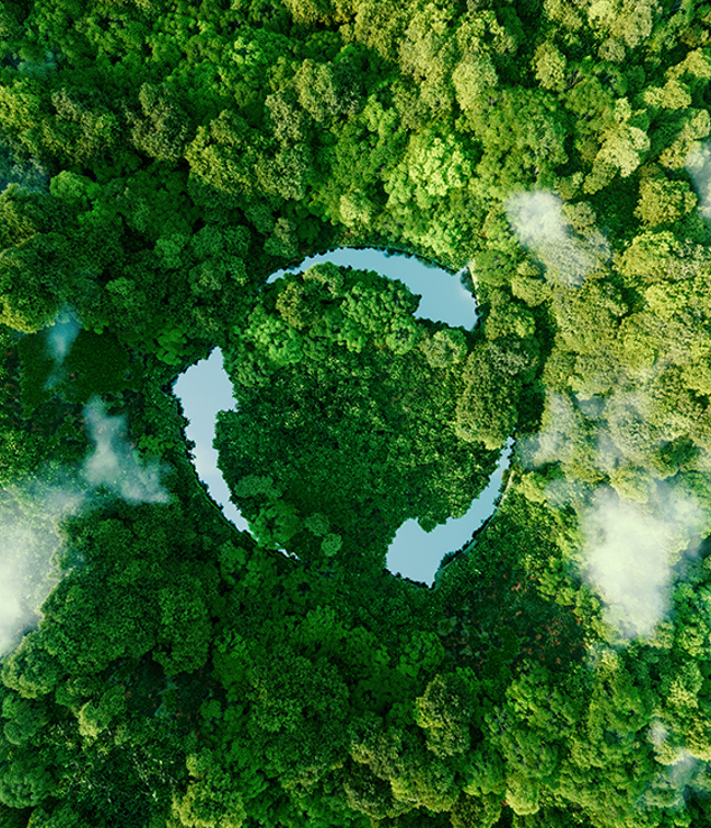 Sustainable building certification_website.png